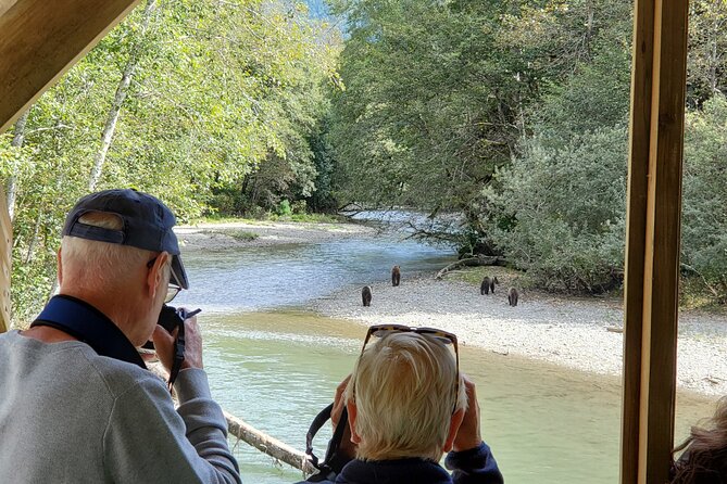 Great Bears of Bute: Grizzly Bear Viewing & Indigenous Cultural Tour - Arriving in Homalco grizzly bear country
