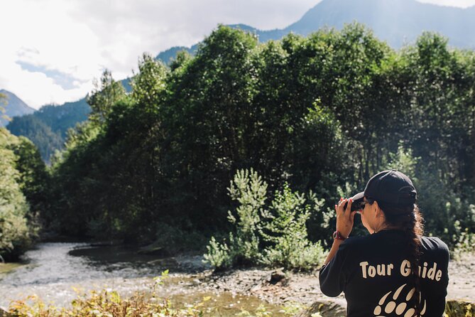 Great Bears of Bute: Grizzly Bear Viewing & Indigenous Cultural Tour - What the strongest parts of the experience have in common