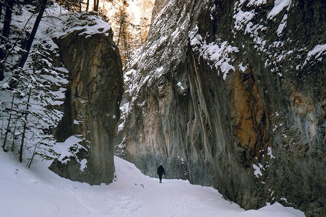 Grotto Canyon Majestic Ice Walk tour from Banff, Calgary, Canmore - Habib’s guiding can shape the day