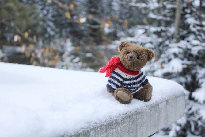Grotto Canyon Majestic Ice Walk tour from Banff, Calgary, Canmore - Booking, cancellation, and timing details