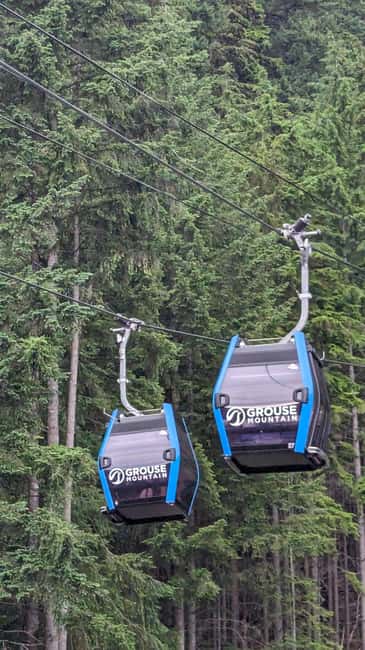 Grouse Mnt+StanleyPark+Hatchery+Cleveland Dam+LynnCanyonTOUR - Stanley Park closes the day with city and sea views