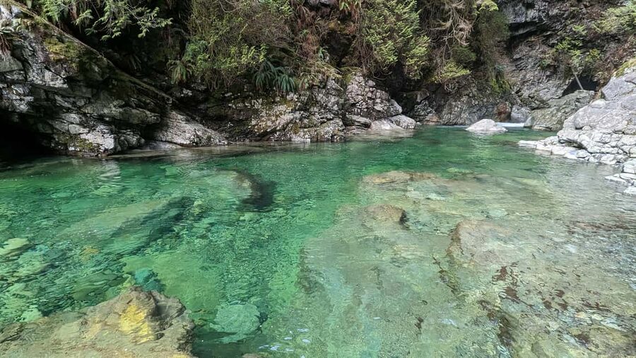 Grouse Mnt+StanleyPark+Hatchery+Cleveland Dam+LynnCanyonTOUR - Who will enjoy this tour most