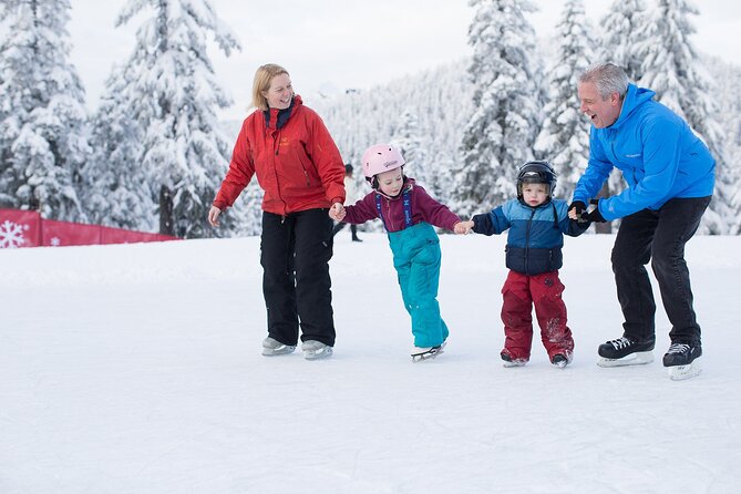 Grouse Mountain Admission Ticket - Summer at the mountain: bears, birds, and lumberjacks