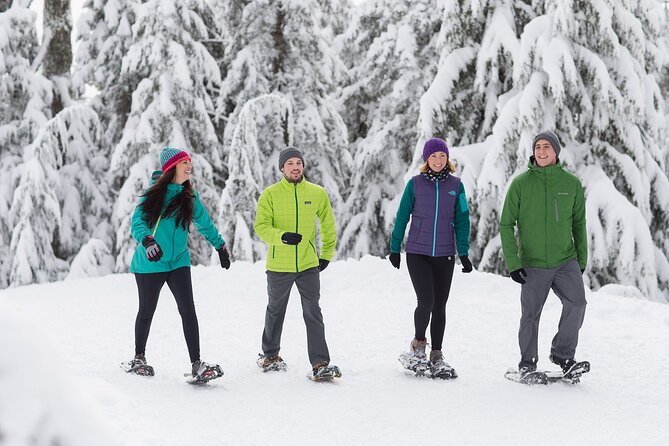 Grouse Mountain Admission Ticket - Who will get the most from this admission