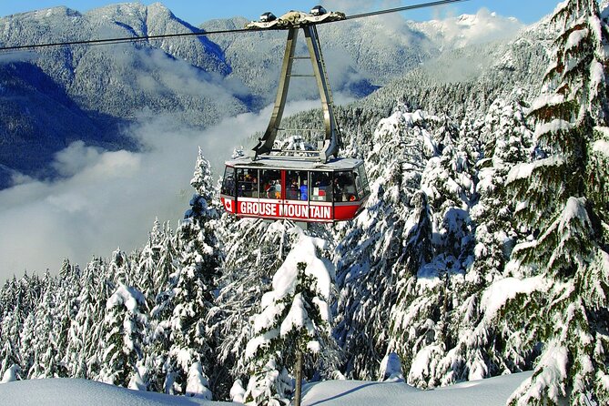 Grouse Mountain Admission Ticket - Winter turns Grouse Mountain into a snow day
