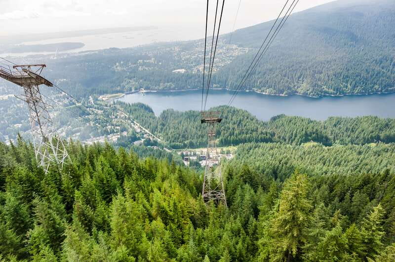 Grouse Mountain, Capilano Bridge & Fish Hatchery Tour - Key points at a glance