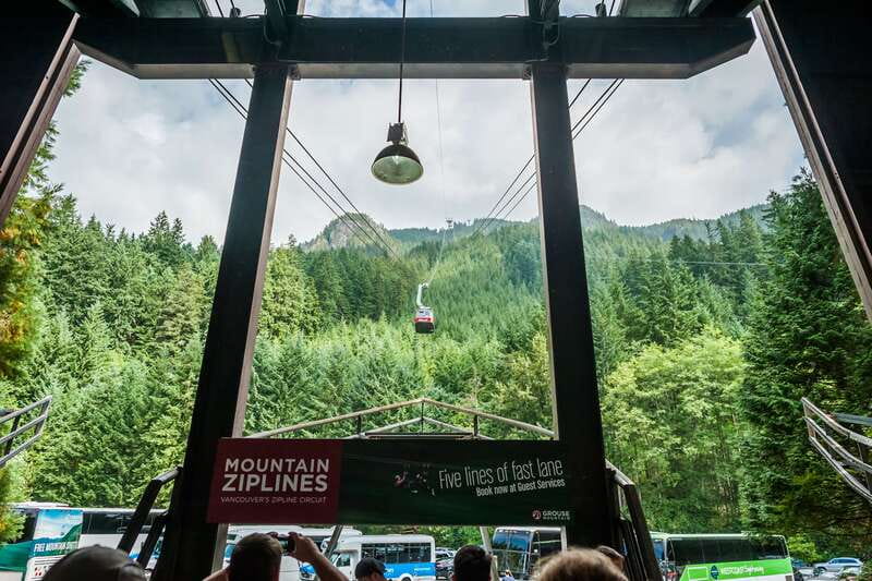 Grouse Mountain, Capilano Bridge & Fish Hatchery Tour - A compact route from downtown to the North Shore