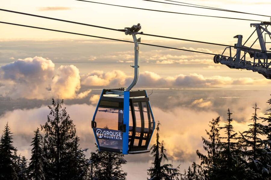 Grouse Mountain, Capilano Bridge & Fish Hatchery Tour - Capilano Suspension Bridge Park: the day’s main walk