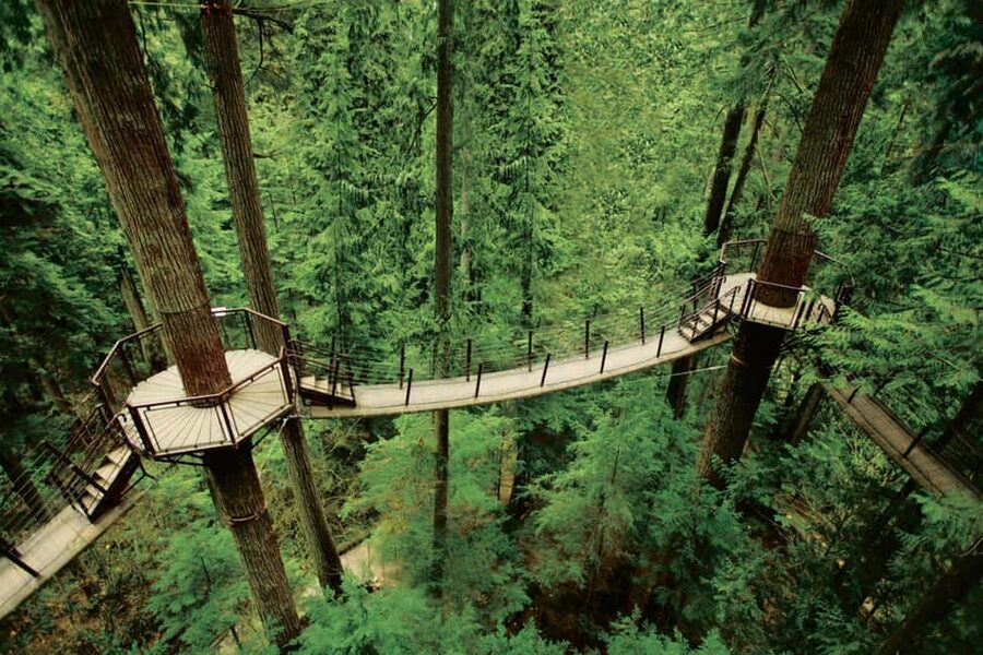 Grouse Mountain, Capilano Bridge & Fish Hatchery Tour - Capilano River Hatchery: brief, educational, and seasonal