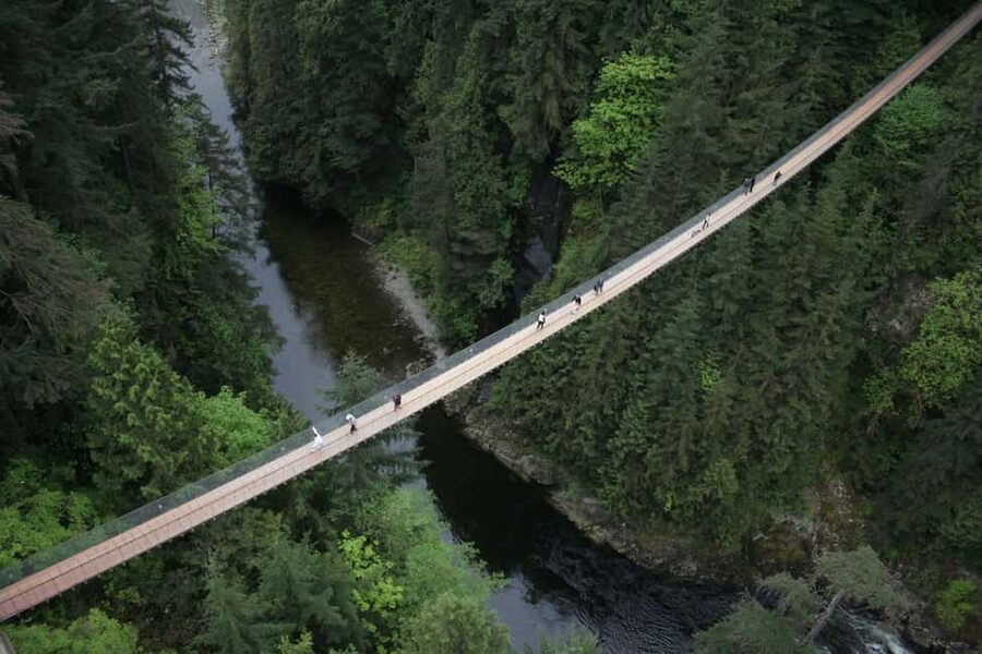 Grouse Mountain, Capilano Bridge & Fish Hatchery Tour - The return through Vancouver and the city connection