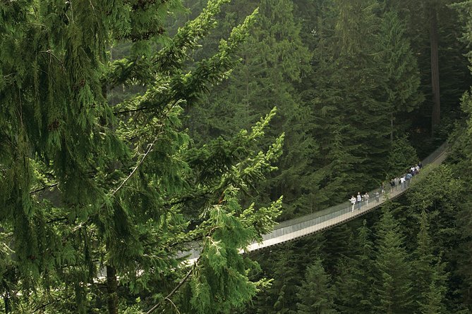 Grouse Mountain & Capilano Bridge Tour with Fish Hatchery - Capilano Suspension Bridge Park delivers the most dependable fun