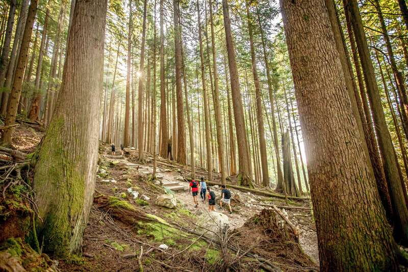 Grouse Mountain Skyride Admission Ticket - Is the $64 admission good value?