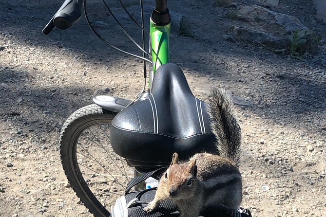 Guided Bike Tour on Historical Kettle Valley Railway at Myra Canyon & Wine Tour - What the 8:00 to 8:30 pickup means