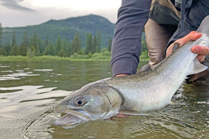 Guided Fishing Adventure in Whistler - The setting is half the experience
