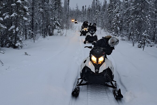 Guided Snowmobile Adventure - Forest trails add turns and texture
