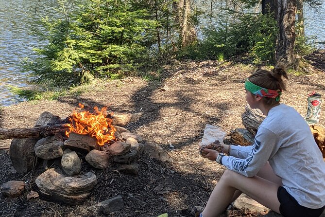 Guided Tours Algonquin Park - Wildlife watching without a guarantee
