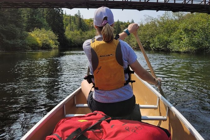 Guided Tours Algonquin Park - The guides shape the experience