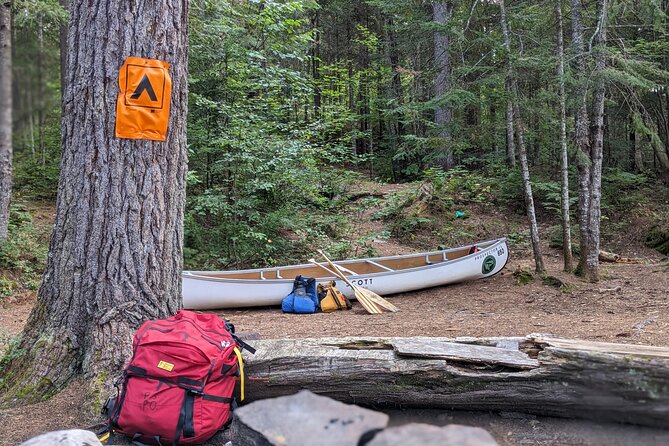 Guided Tours Algonquin Park - Who should book this canoe outing?