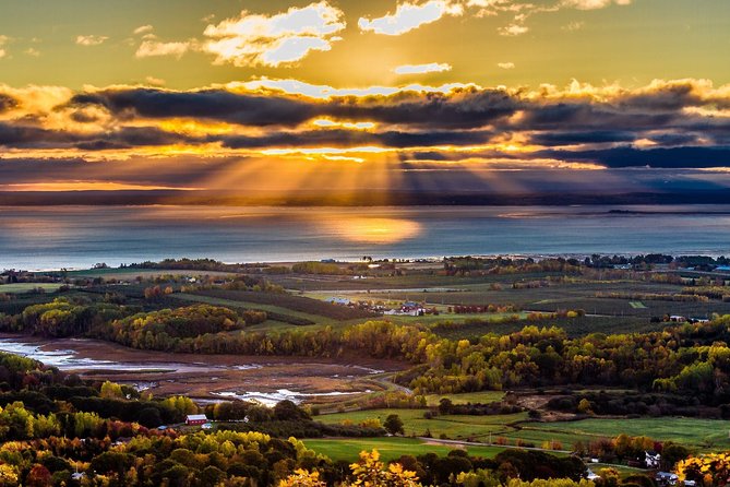 Half-Day Small-Group Tour of Annapolis Valley - Why this Halifax day trip works