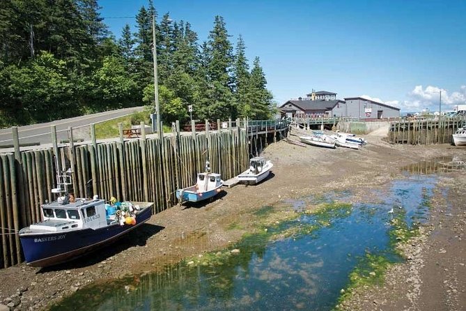 Half-Day Small-Group Tour of Annapolis Valley - Three wineries, three different settings