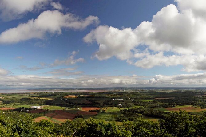 Half-Day Small-Group Tour of Annapolis Valley - Wolfville and Acadia University add local character