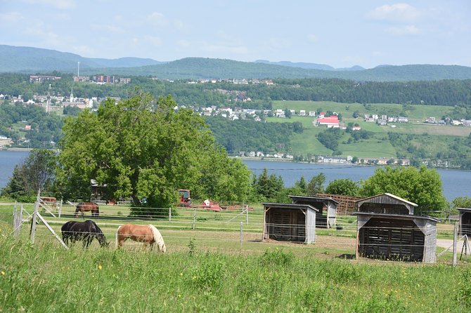 Half-Day Trip to Montmorency Falls and Ste-Anne-de-Beaupré from Quebec city - Albert Gilles Copper Art and Museum