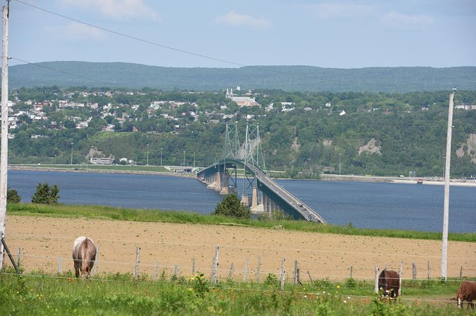 Half-Day Trip to Montmorency Falls and Ste-Anne-de-Beaupré from Quebec city - Île d’Orléans and the chocolate stop