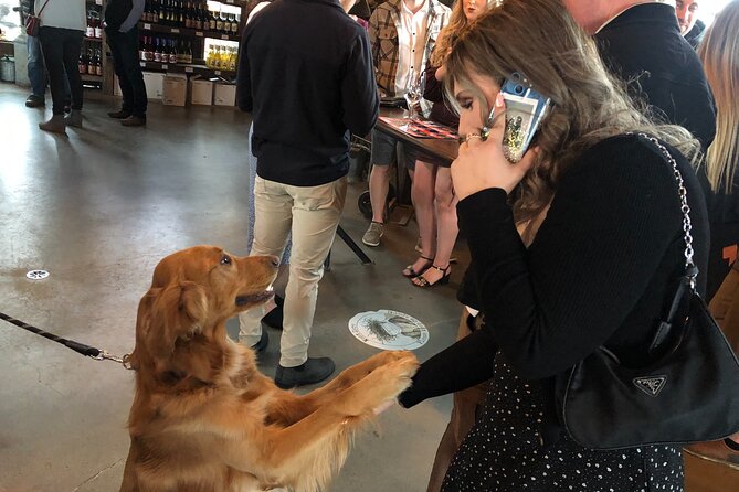 Half-Day West Kelowna Afternoon Wine tour - Who will enjoy this tour most