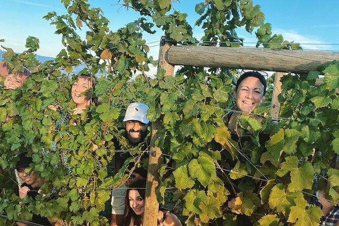 Half-Day West Kelowna Afternoon Wine tour - Stops two and three: variety keeps the afternoon moving