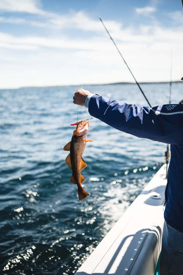 Halifax: 2-Hour Deep Sea Fishing Tour - Who will enjoy this Halifax fishing tour