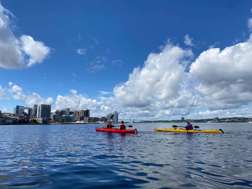 Halifax: Guided Kayak Tour with Multiple Options - Picking the right Halifax Harbour paddle