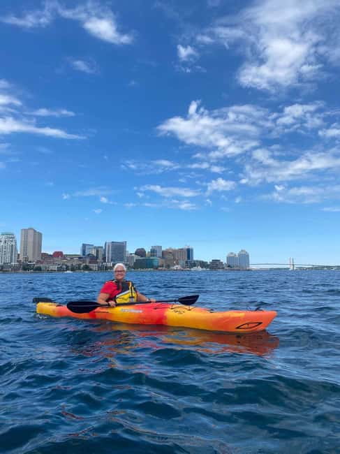 Halifax: Guided Kayak Tour with Multiple Options - Launching beside Halifax’s waterfront