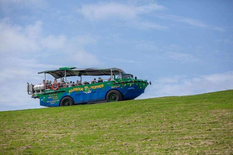 Halifax: Harbour Hopper City & Water Cruise in a Duck Boat - Who will enjoy this tour most?