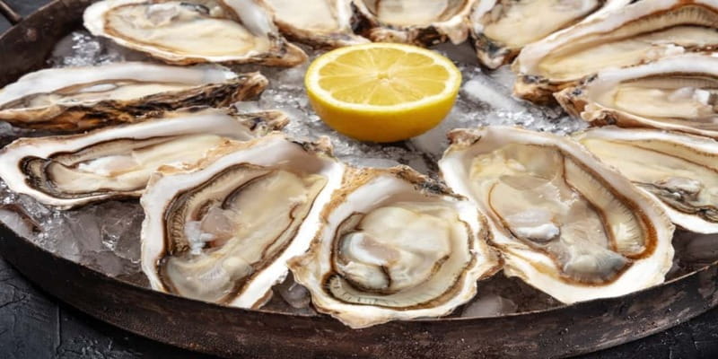 Halifax Harbourfront Food Walking Tour - Oysters: a proper Nova Scotia opening