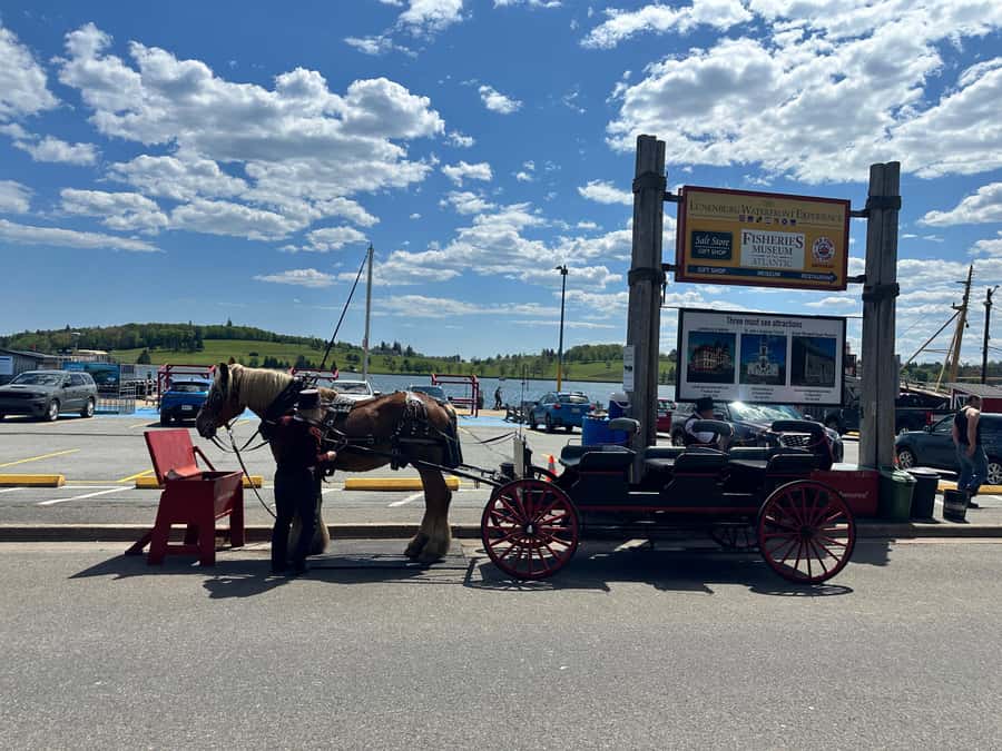 Halifax: Lunenburg and Mahone Bay Private Tour - Flexible stops that make the tour personal