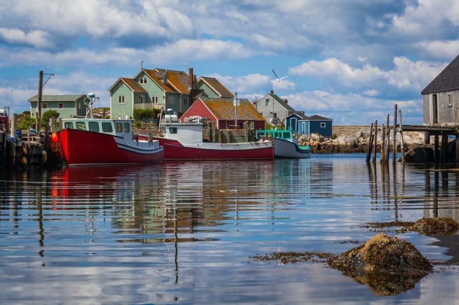 Halifax Small-Group Express Peggy’s Cove Tour - Returning to Halifax with local tips