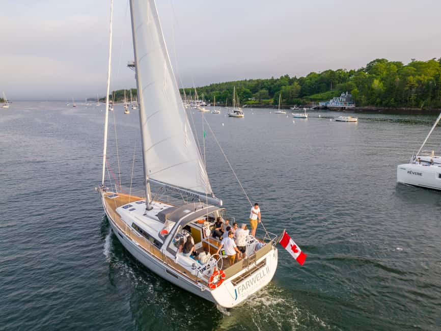 Halifax: Sunset Wine and Cheese Sailboat Cruise - Who Will Enjoy This Cruise Most?