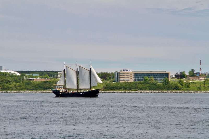 Halifax: Tall Ship Harbor Sailing Cruise with Live Music - The sail raising is the hands-on highlight