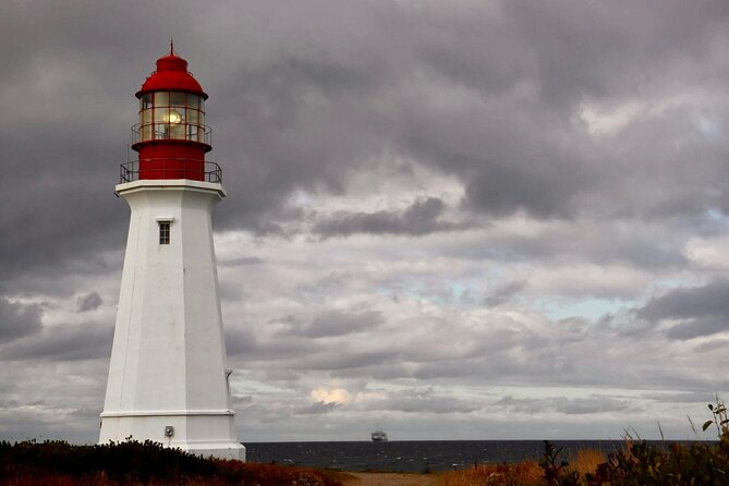 Harbor Highlights: Sydney City Tour - Five things to know before booking