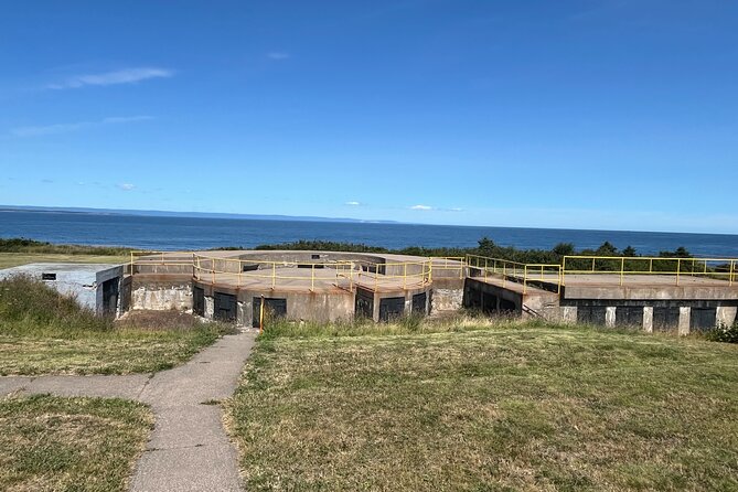 Harbor Highlights: Sydney City Tour - Polar Bear Beach and the local sense of humour