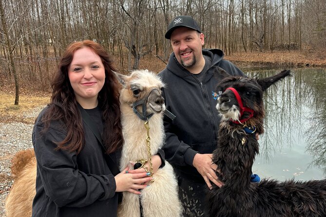Hike & Lunch with Llamas - Key points to know before you book