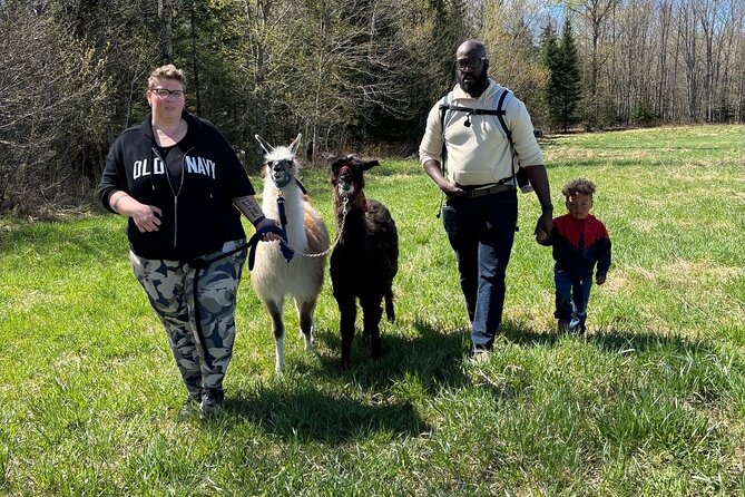 Hike & Lunch with Llamas - What the $56.20 price includes