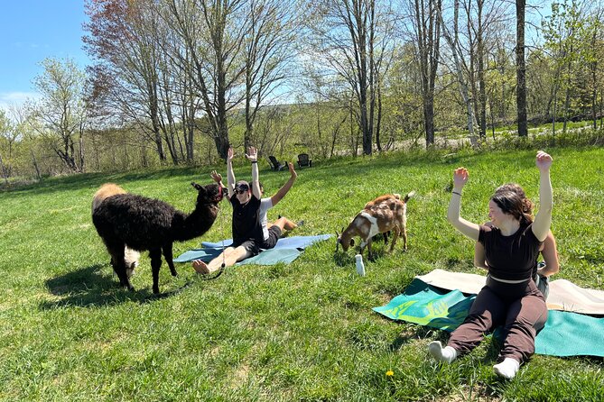 Hike & Lunch with Llamas - Timing, booking, and weather notes