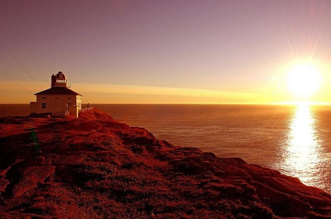 Historic St. John's Newfoundland and Cape Spear Tour - Jellybean Row adds color to the city walk
