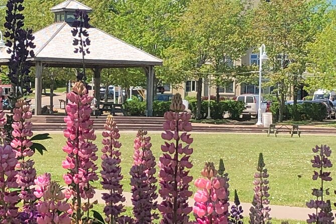 Historic Walking Tour of Charlottetown - Key points to know before you book