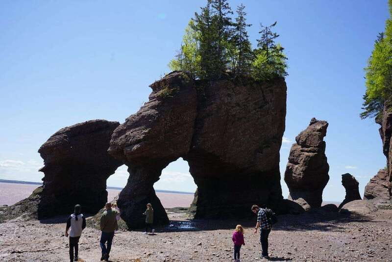 Hopewell Cape: Hopewell Rocks Admission - Why Hopewell Rocks is about the tide, not just the rocks