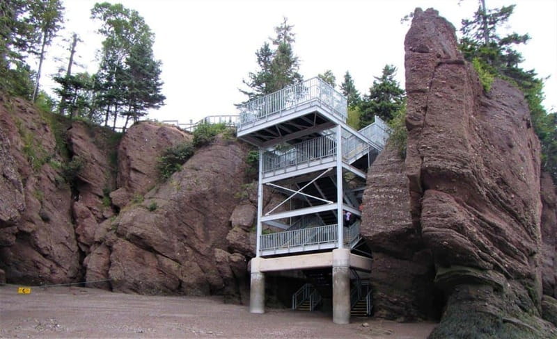 Hopewell Cape: Hopewell Rocks Admission - Following the trails through forest and to the lookouts