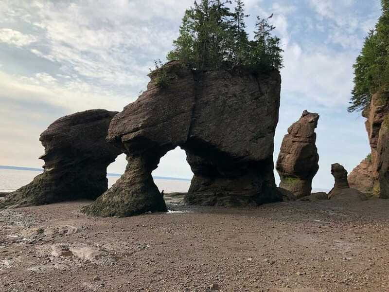 Hopewell Cape: Hopewell Rocks Admission - How to plan around high and low tide