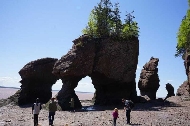 Hopewell Cape: Hopewell Rocks Admission - What the $14 admission is worth