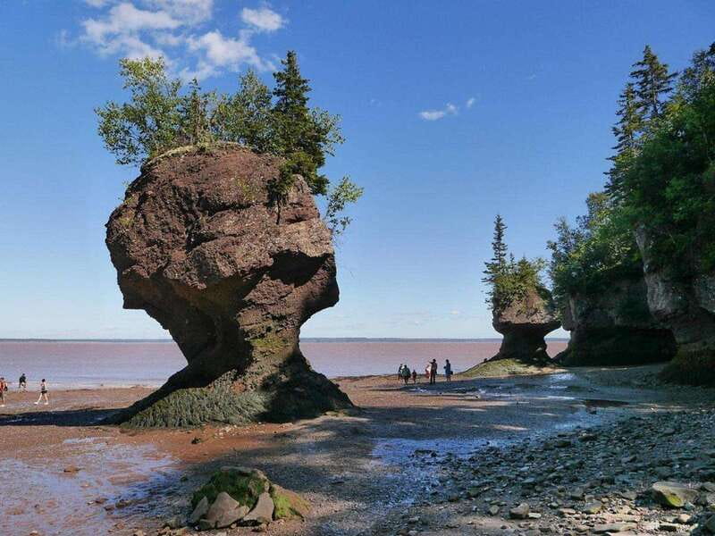 Hopewell Cape: Hopewell Rocks Admission - Entering at the Interpretive Centre